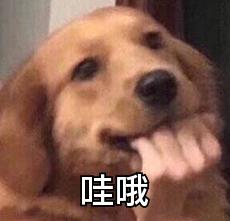 DƬ